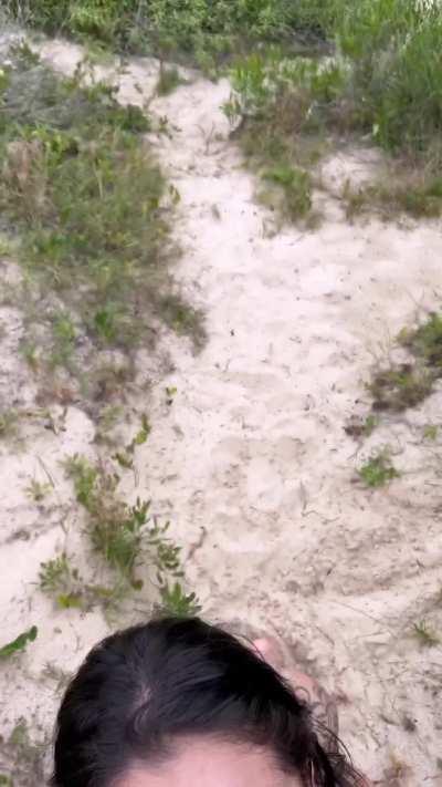 A quick travel to the mountains