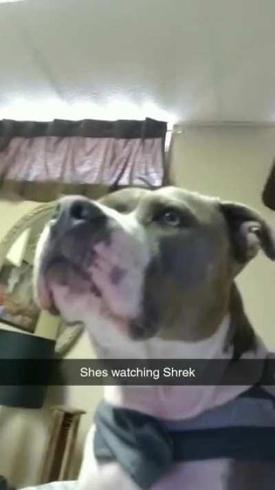 You could say she's a fan.