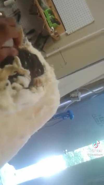 A furniture upholsterer reveals the crimes against humanity hidden in a 200 year old antique chair brought to him from North Georgia