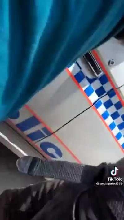 4 guys throw a snake into a cop car