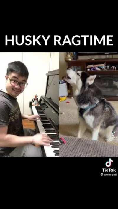 Cute husky boy reminded me of eef