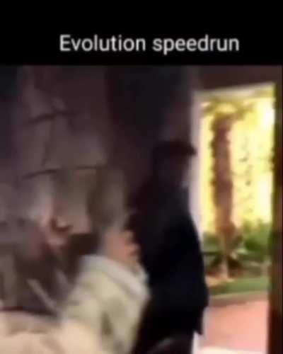 Evolution speedrun