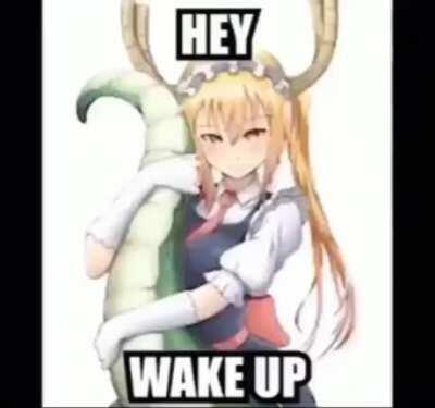 THE NUMBERS WHAT DO THEY MEAN