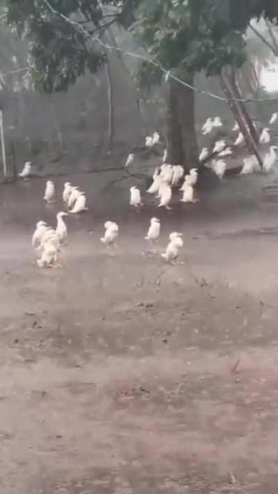 Any idea what's going on🤔