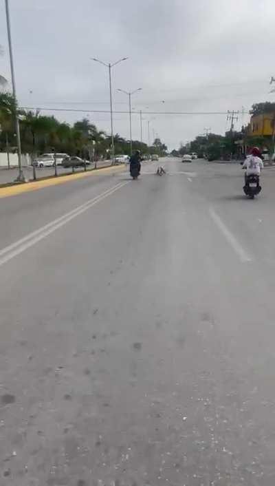 Terminator en Tulum.