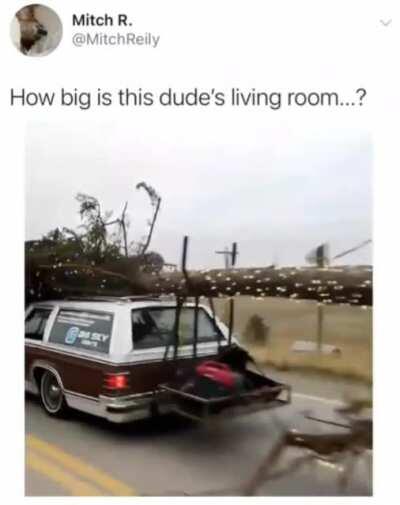 Found this one on Instagram. I don't even know if I could call that idiot, maybe dream chaser.