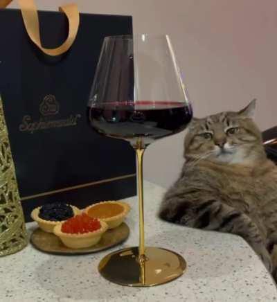 KL Rahul during team celebration after the second test win