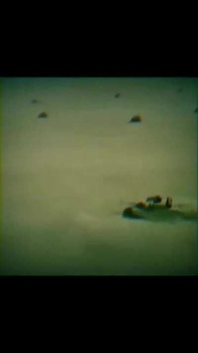 ABRUMS EDIT ABRUMS EDIT ABRUMS EDIT