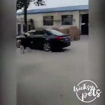 Меня не догонишь