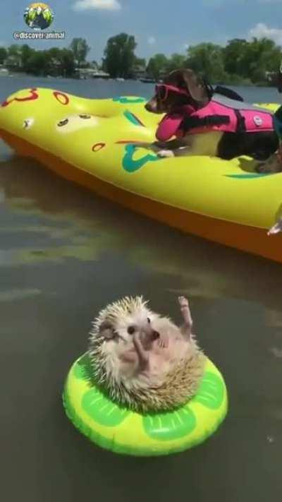 Relaxing on the beach