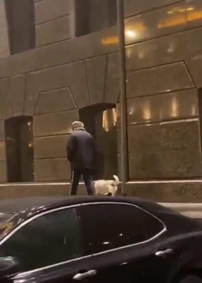 Dogs are just furry little kids...