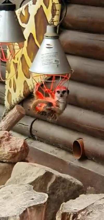 The definition of hakuna matata