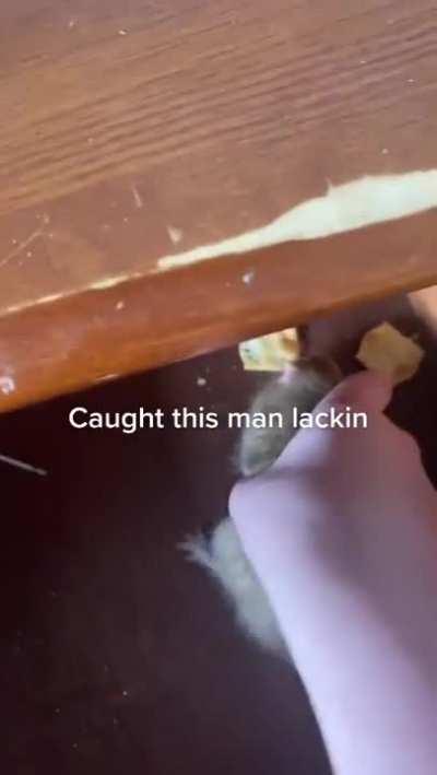 which one of you was this