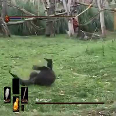 ja ja: la referencia 🐒