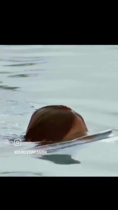 Anushka sharma hottest 👙 scene 