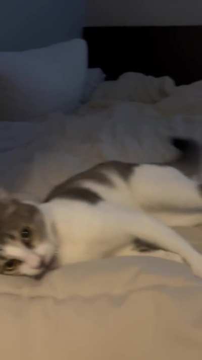 You think she’s a good hunter?