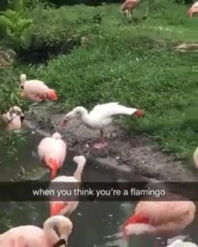 Giving in to Unspoken Social Pressure