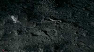 🔥 Kangaroo Rat says 