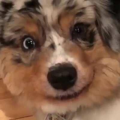 That smile, that damn smile