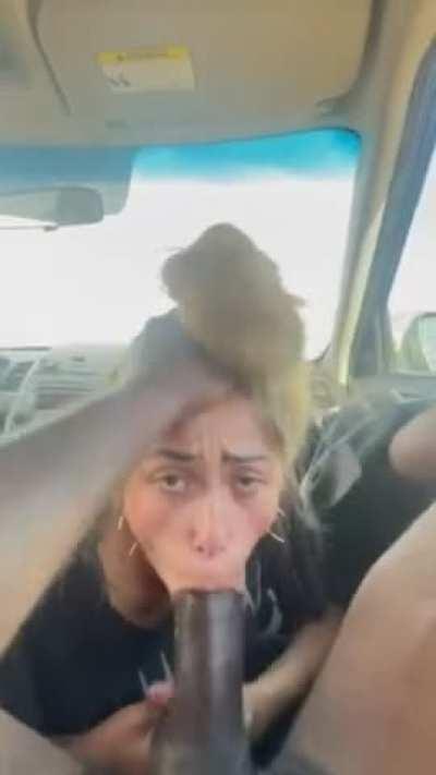 [kik:jacknin11] Hung bulls kik me I will worship and feed for hot tributes (BBC+)