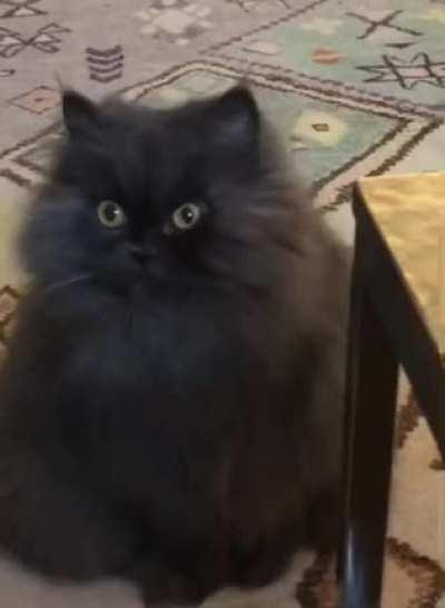 He's trying to make a point