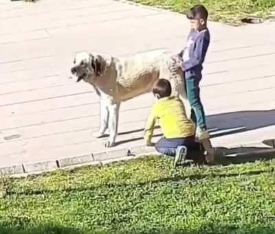 Butun umidim genclikte midir