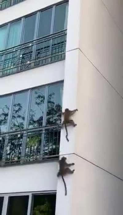 Life is so simple, don't complicate it...