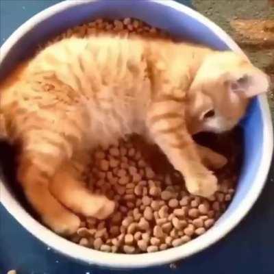 Little bud is in heaven