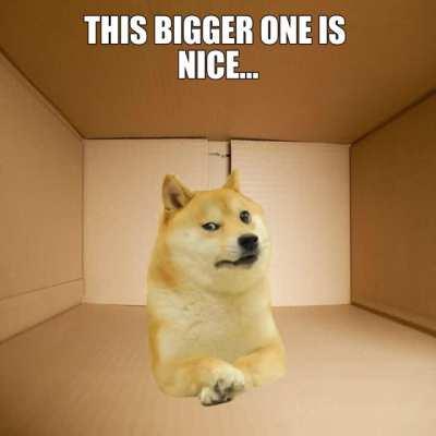 Le Bocses Have Arrived!