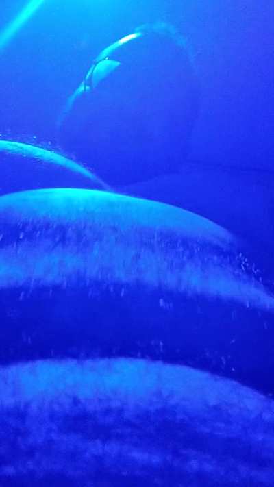 This is Daddy's taste. Thank him for this privilege.