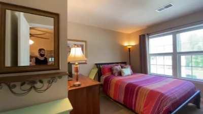 Peanut was unhappy with the real estate photographer invading her space.