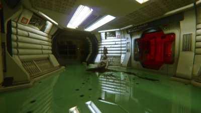 Xenomorphs Everywhere 😍