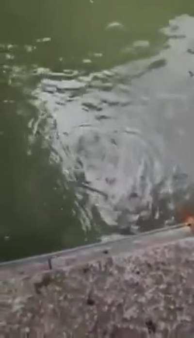 WCGW Not the best place to take a nap!