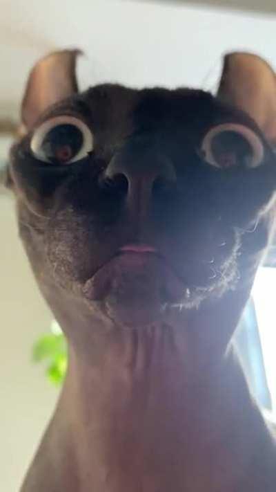 Just gonna leave this here