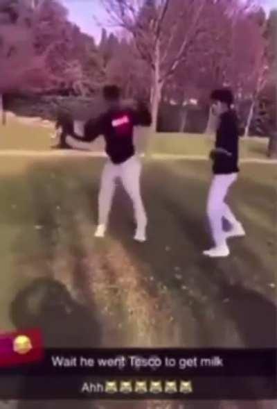 Got knocked into a TikTok Dance