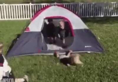 One Tent Door VS Five kids! Who will win!?