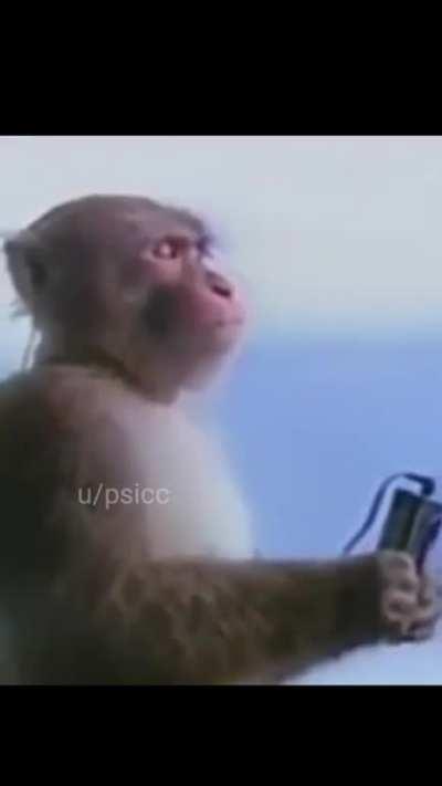 reason behind 100% attendence