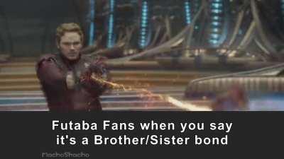 An Investigation on Persona Fans..