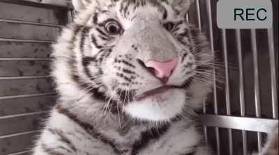 What are you looking at?