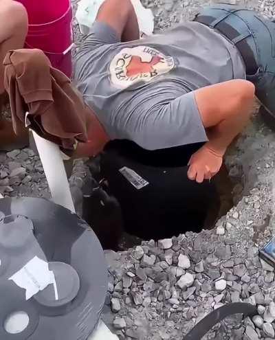 Man finds lost baby racoon, takes it home