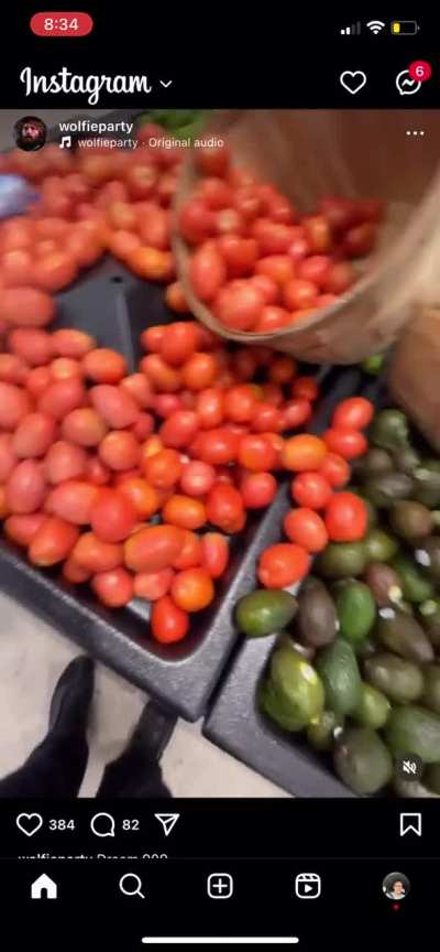 WolfieParty continuing to be a menace(deleted)