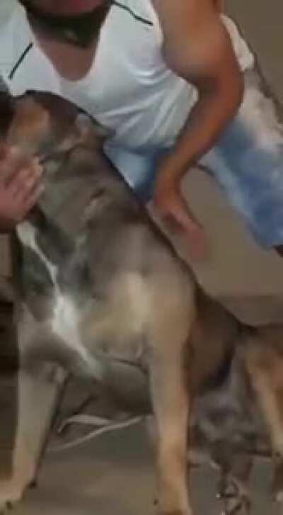 olha o shape fellas! pureza no olhar, bora bota na mansão? arrumo um patrocínio, bora produzir pae