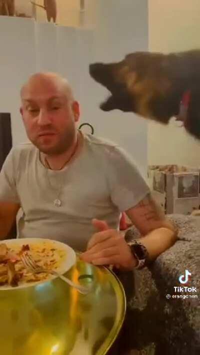 Excellent conversation skills...