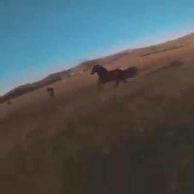 How it feels playing Crypto sometimes.