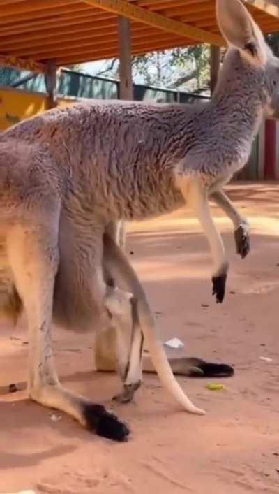 Welcome to growing up. It doesn't get much better from here...