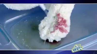 That's why her room was so clean huh