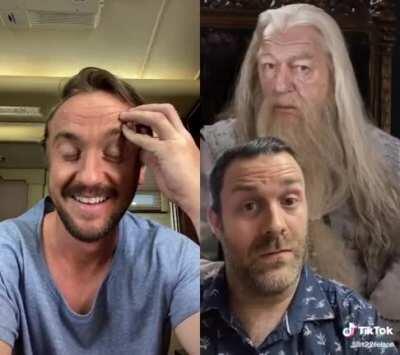 Tom Felton Reacted to My Harry Potter Voice Challenge on TikTok.