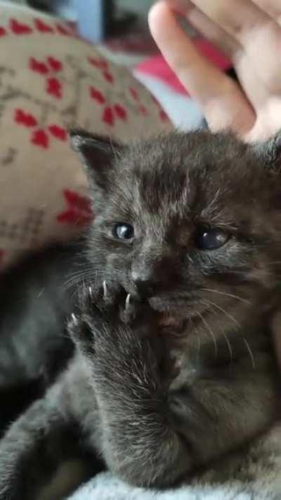 Level 99 adorable...xoxo :P