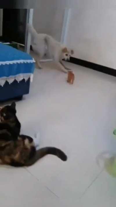 Мы знаем Кунг фу