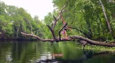 What could go wrong doing a handstand on a tree branch over water